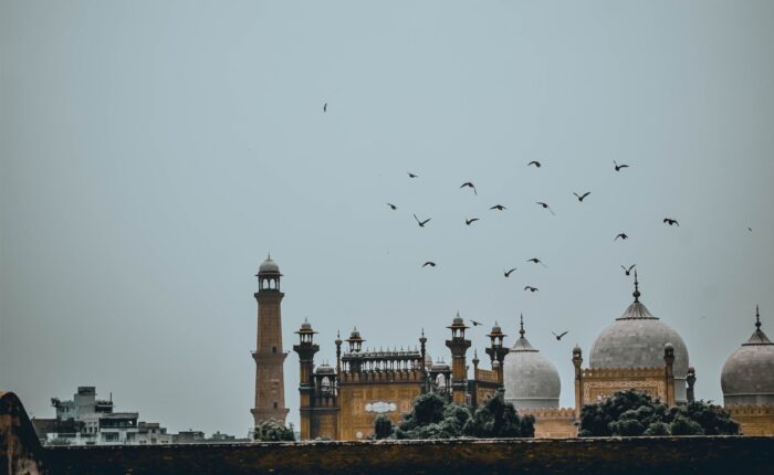 birds flying near badshahi mosque